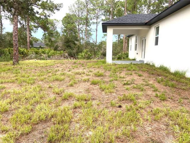 Back yard