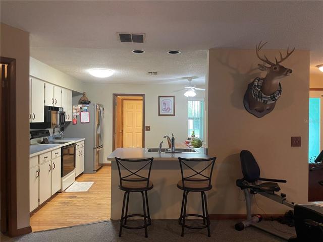 ENTRANCE TO KITCHEN FROM LIVINGROOM