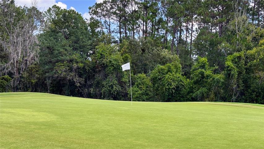 Quick Facts!Holes: 18 Par: 72 Length: 6674 yards Slope: 141 Rating: 72.9Year built: 1989Architect(s): Gary PlayerGreens: Jones Dwarf GrassFairways: Bermuda GrassSeason: Year roundFirst Tee 7:30 am