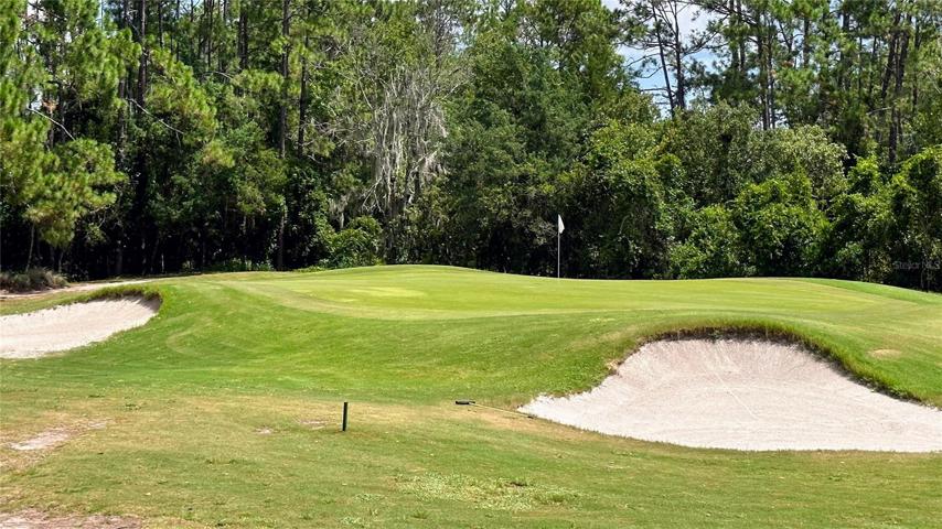 Quick Facts!Holes: 18 Par: 72 Length: 6674 yards Slope: 141 Rating: 72.9Year built: 1989Architect(s): Gary PlayerGreens: Jones Dwarf GrassFairways: Bermuda GrassSeason: Year roundFirst Tee 7:30 am