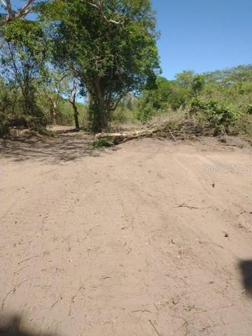 LOT AREA