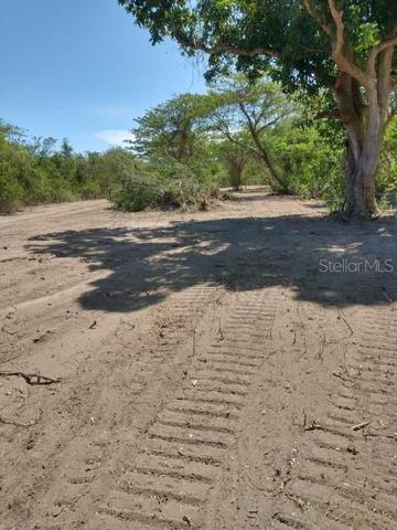 LOT AREA