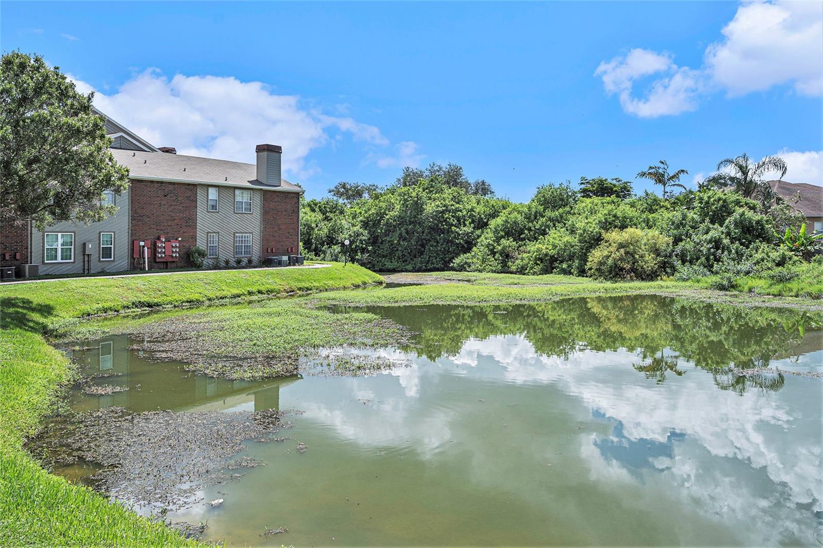 9100 Dr Martin Luther King Jr N Street #313, St Petersburg, Florida 33702, 1 Bedroom Bedrooms, ,1 BathroomBathrooms,Residential,For Sale,DR MARTIN LUTHER KING JR,U8210670
