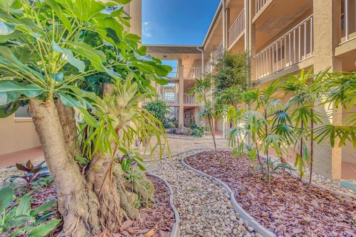 live open atriums with nice greener