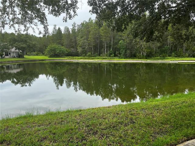 YOUR TRANQUIL AND RELAXING VIEW!