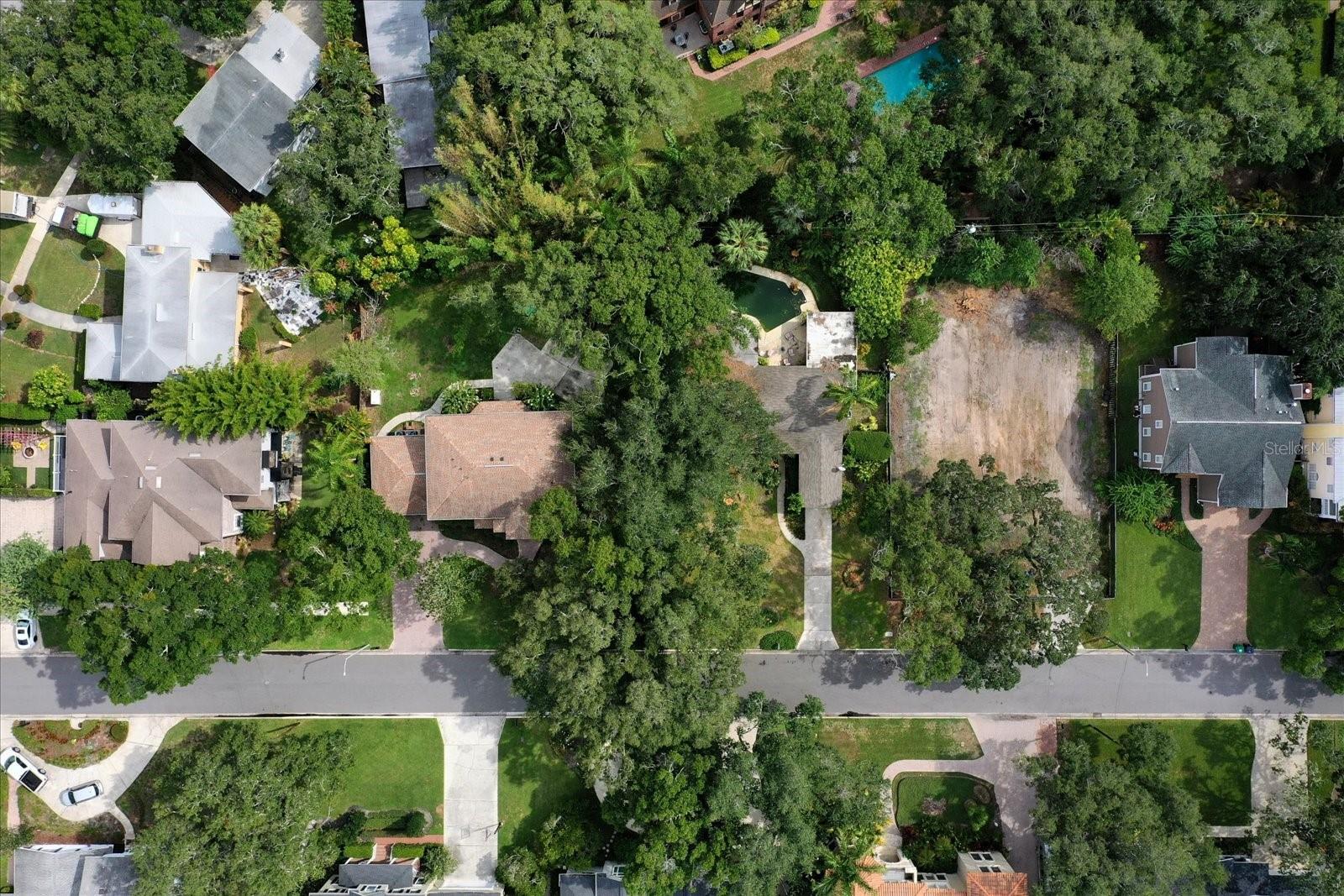 Beautiful tree lined street!