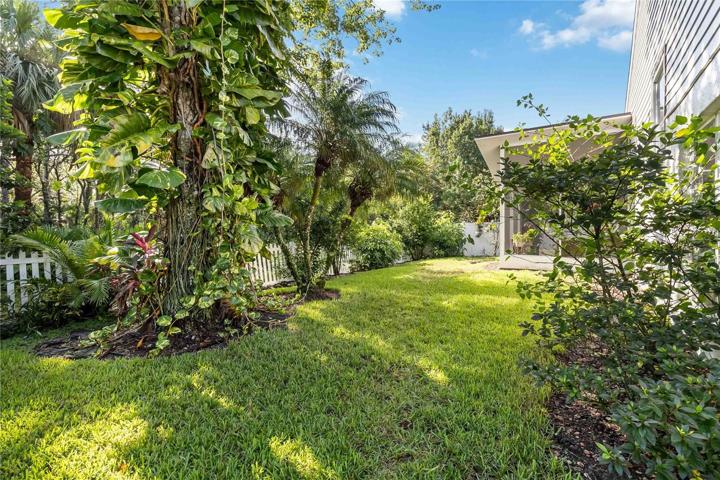 Lush backyard with lots of shade