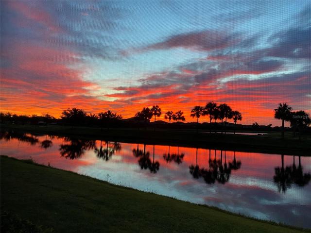 Sunrise from the lanai