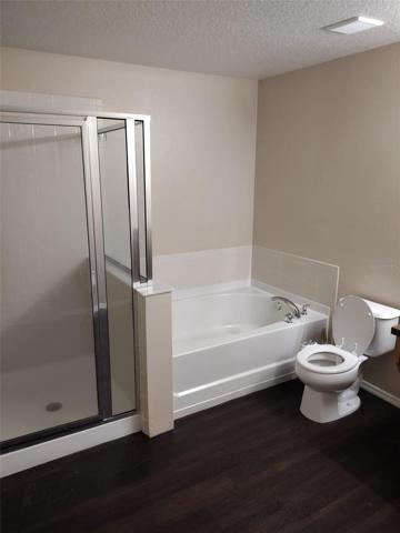 Master Bathroom 3
