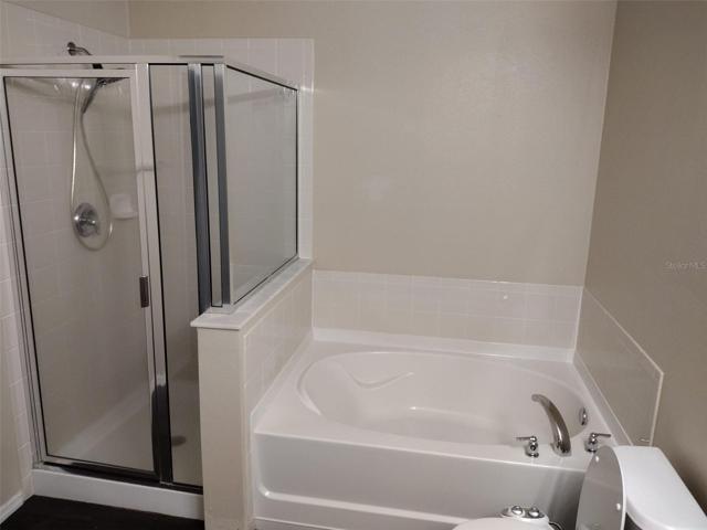 Master Bathroom 1