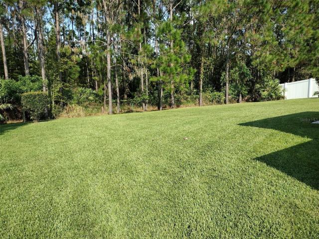House Backyard