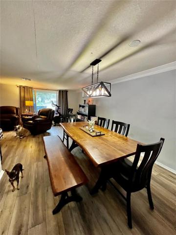 FORMAL DINING ROOM FROM PATIO