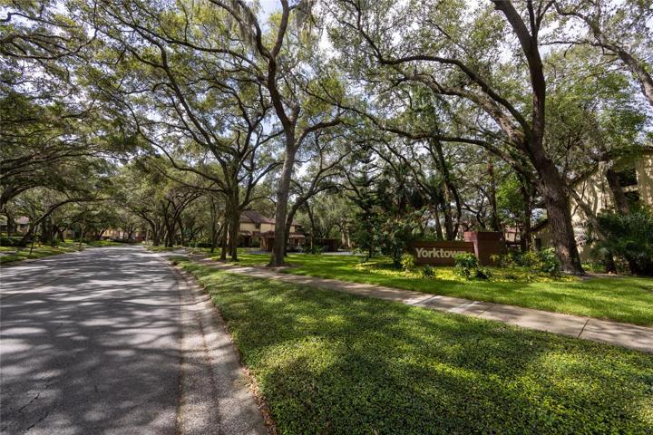 Canopy Tree Entrance