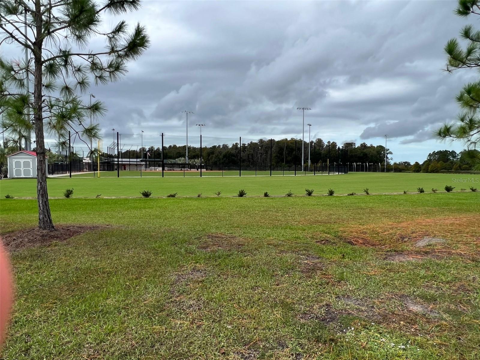 Baseball Fields-walking distance