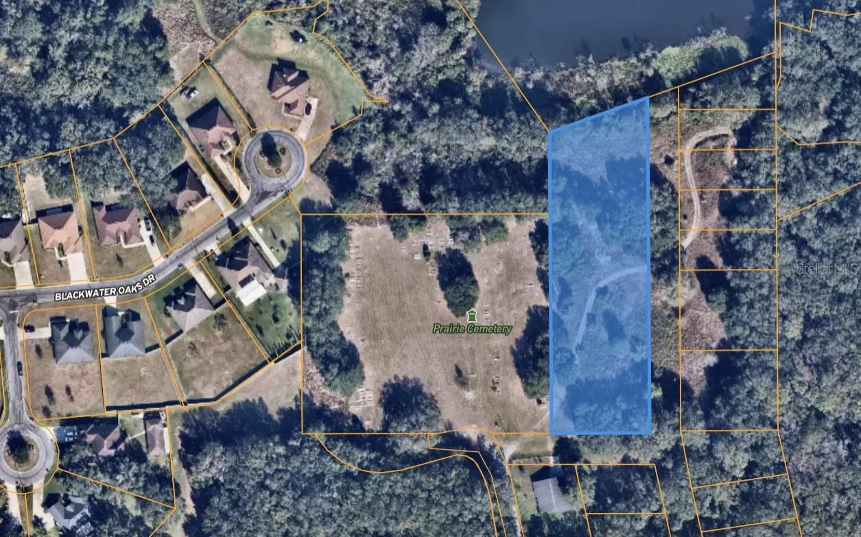 Arnaz Drive, Mulberry, Florida 33860, ,Land,For Sale,ARNAZ,O6134916