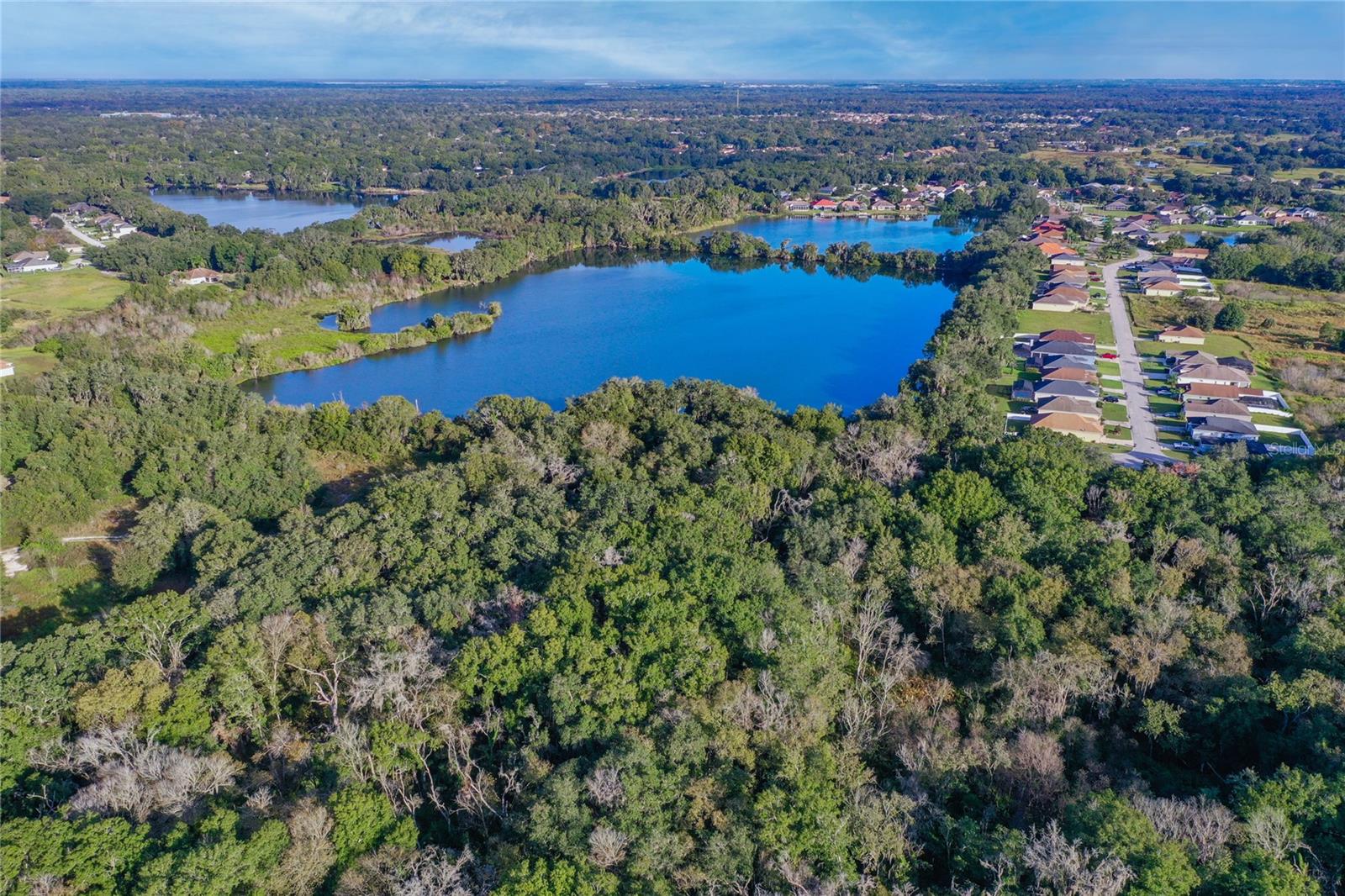 Arnaz Drive, Mulberry, Florida 33860, ,Land,For Sale,ARNAZ,O6134916