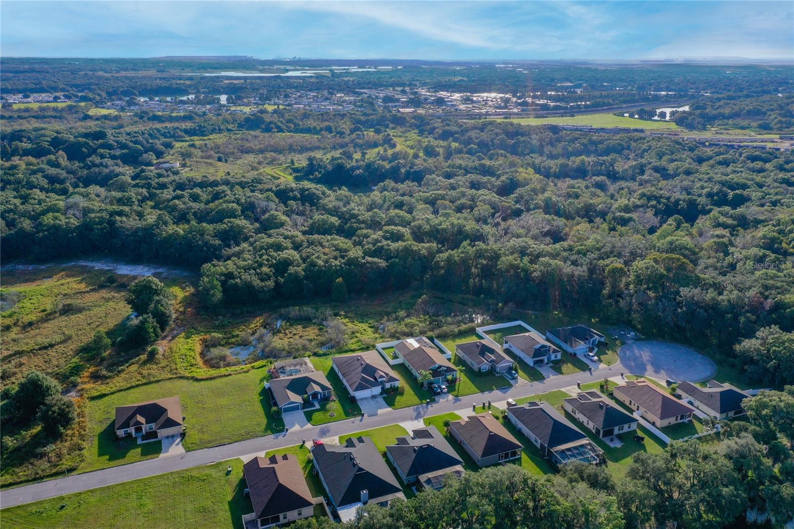 Arnaz Drive, Mulberry, Florida 33860, ,Land,For Sale,ARNAZ,O6134916