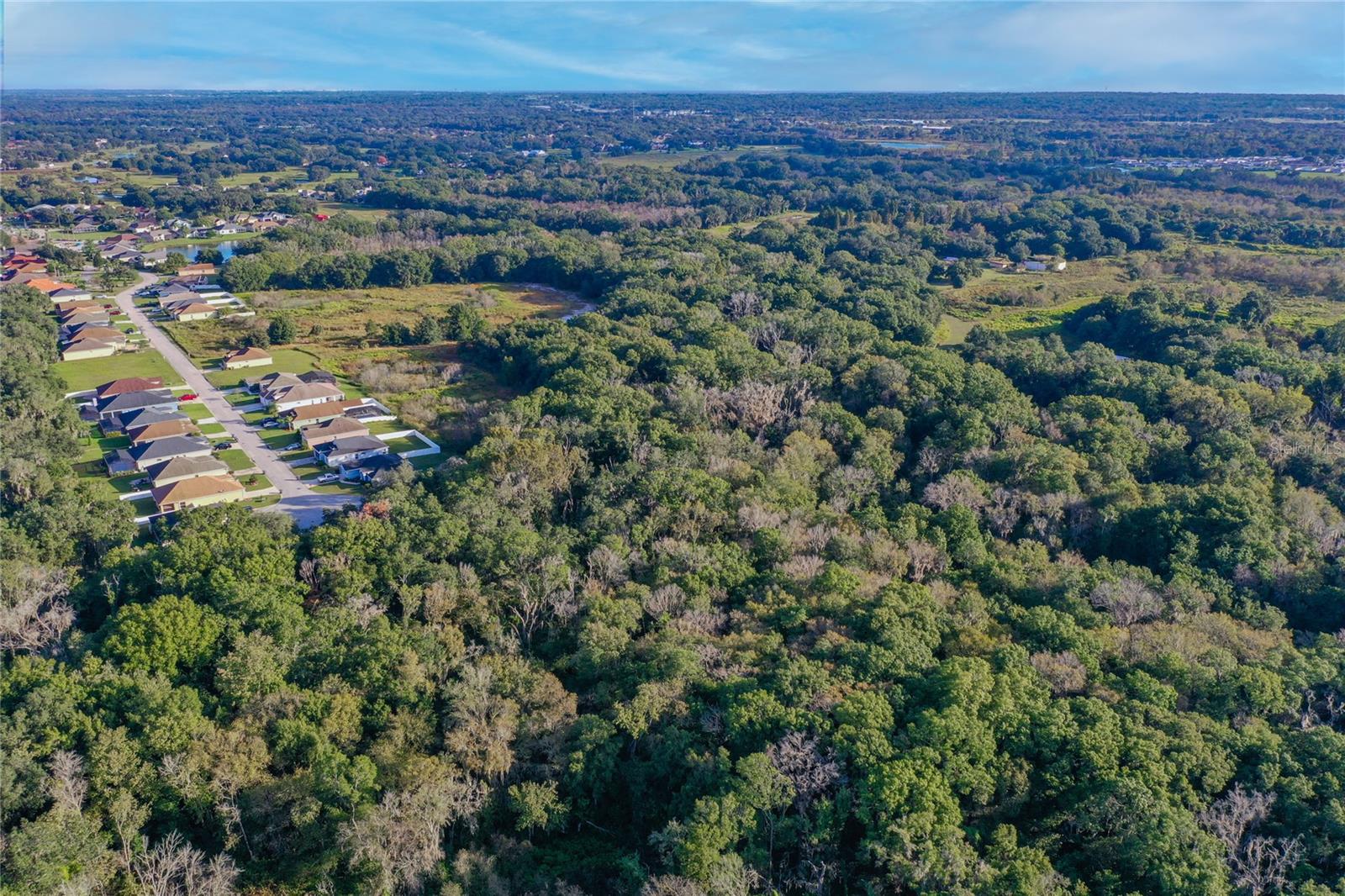 Arnaz Drive, Mulberry, Florida 33860, ,Land,For Sale,ARNAZ,O6134916