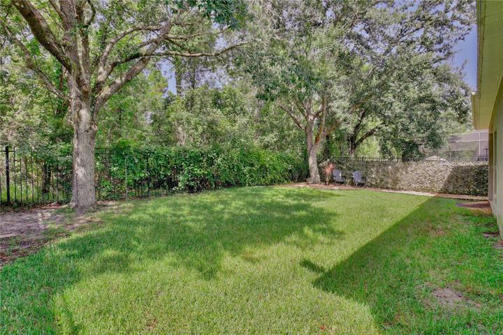 Spacious Backyard and Conservation area