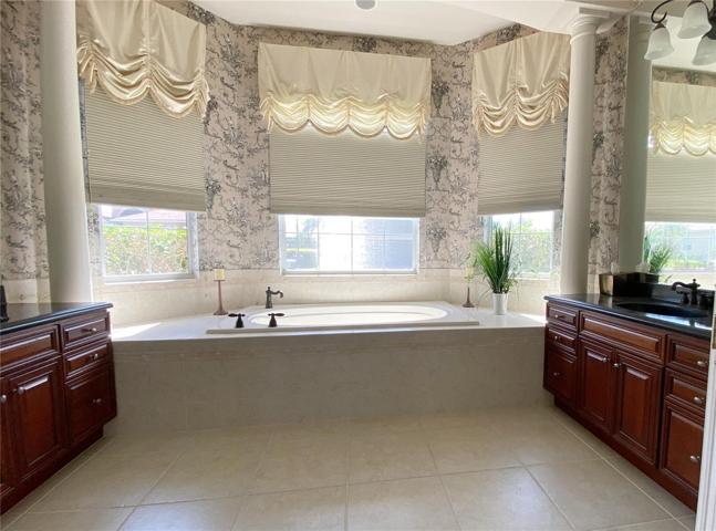 Large Soaking Tub in Master Bathroom
