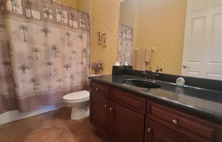 Shower/Tub Combo