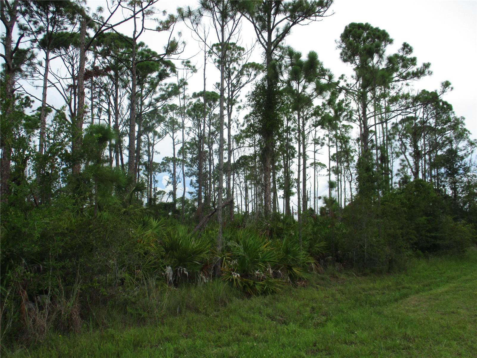 5385 Kaspar Street, Port Charlotte, Florida 33981, ,Land,For Sale,KASPAR,A4580022
