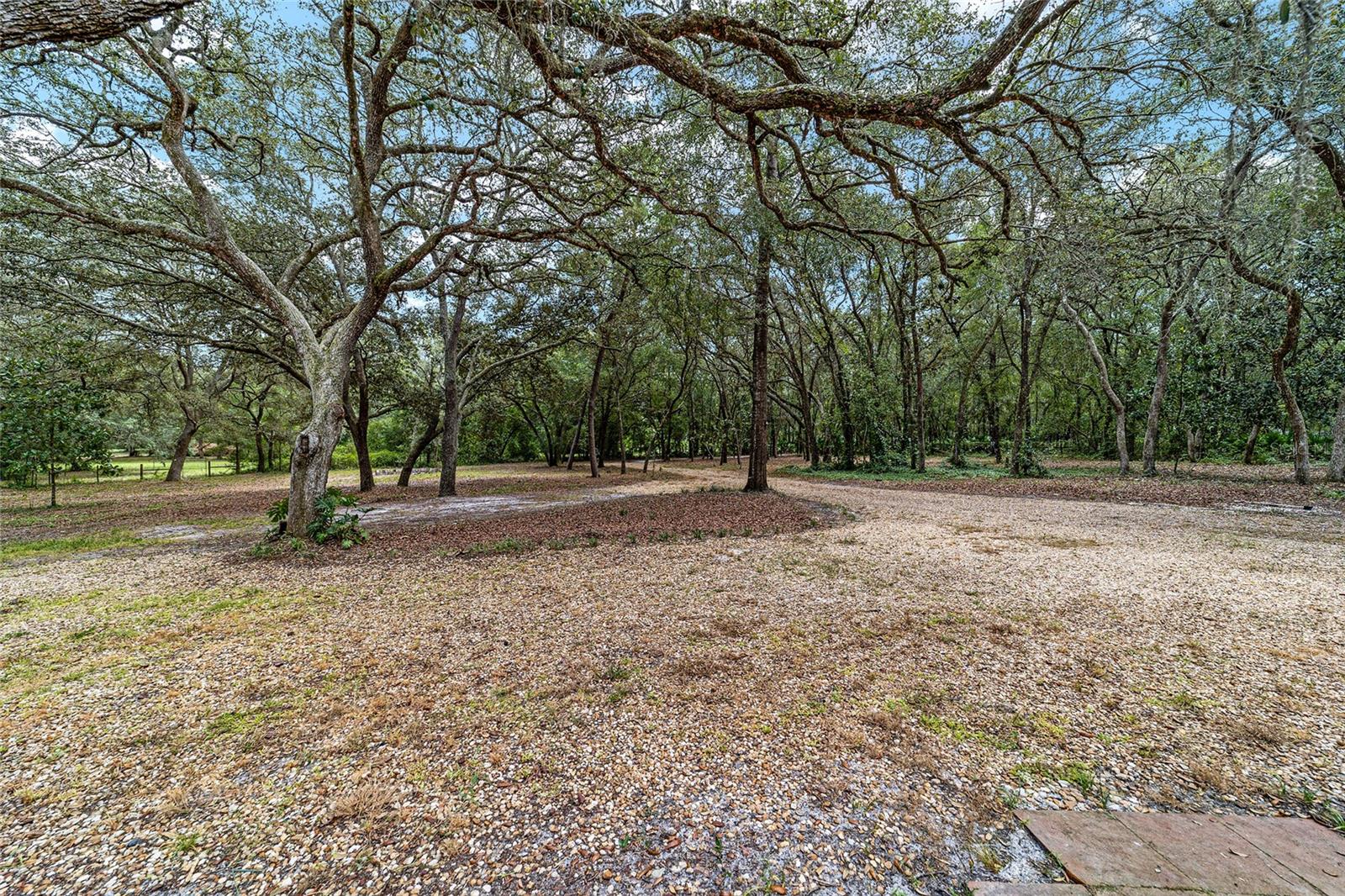 2188 County Road 245d, Oxford, Florida 34484, 3 Bedrooms Bedrooms, ,2 BathroomsBathrooms,Residential,For Sale,COUNTY ROAD 245D,OM663053