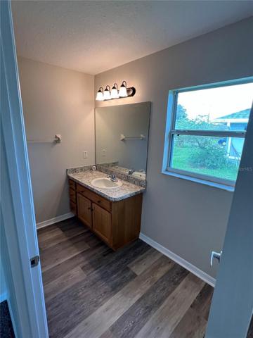 Master Bathroom Vanity