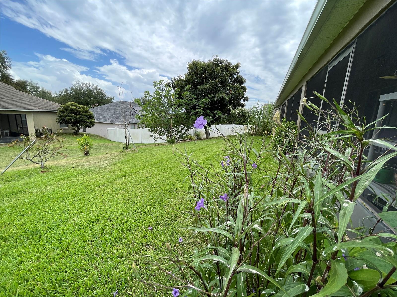 306 Way Point Drive, Groveland, Florida 34736, 3 Bedrooms Bedrooms, ,2 BathroomsBathrooms,Residential,For Sale,WAY POINT,O6135151