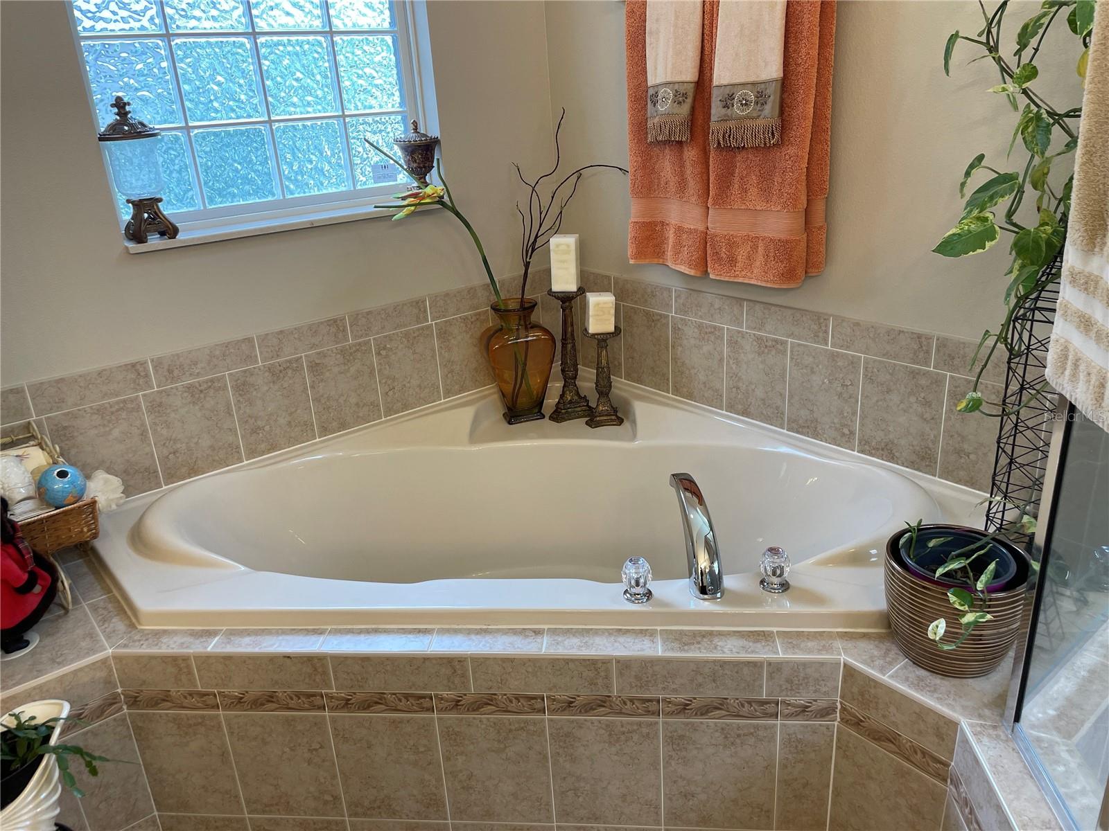 306 Way Point Drive, Groveland, Florida 34736, 3 Bedrooms Bedrooms, ,2 BathroomsBathrooms,Residential,For Sale,WAY POINT,O6135151