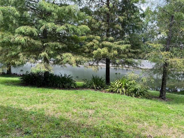 Pond View