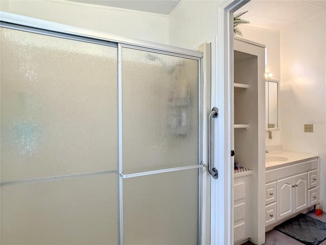 Walk in shower and vanity
