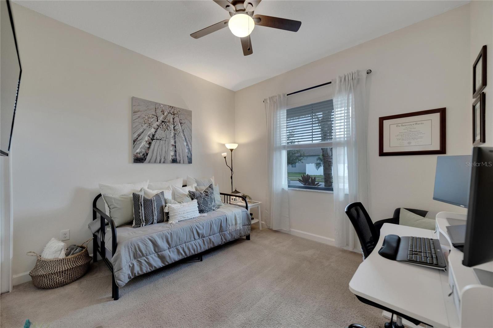 Downstairs Bedroom