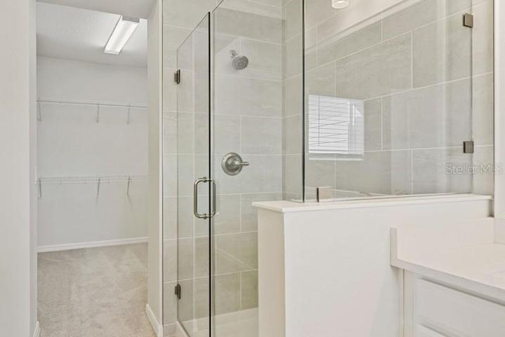 Owner's Bath