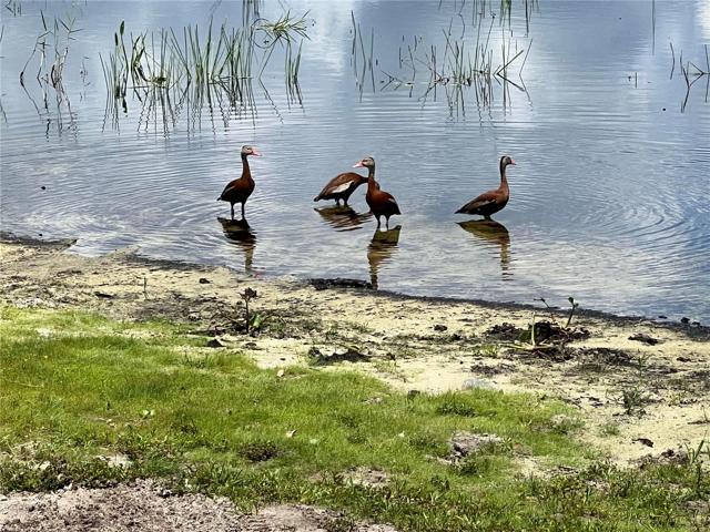 lake frontage