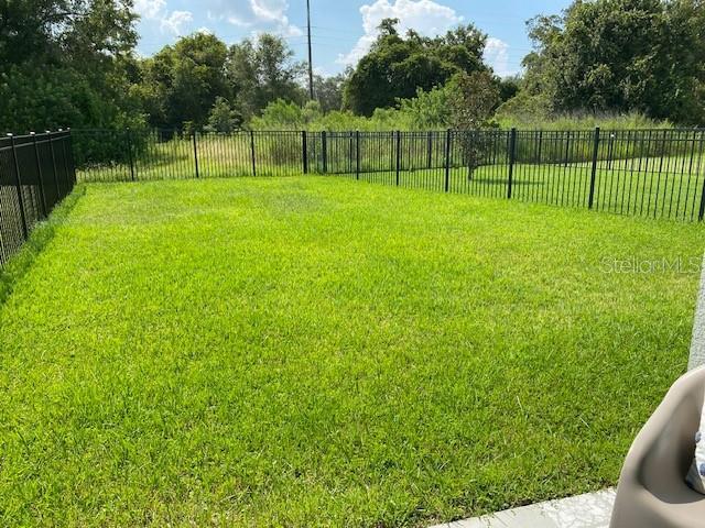 Backyard