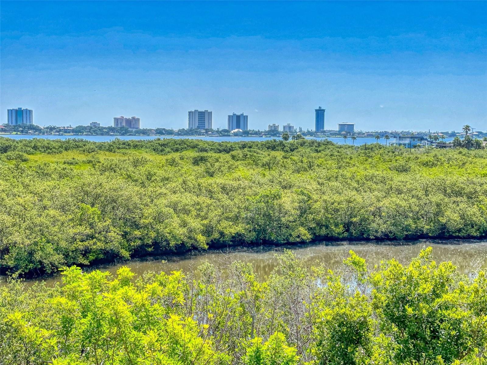 Preserve Water Views &amp; Skyline