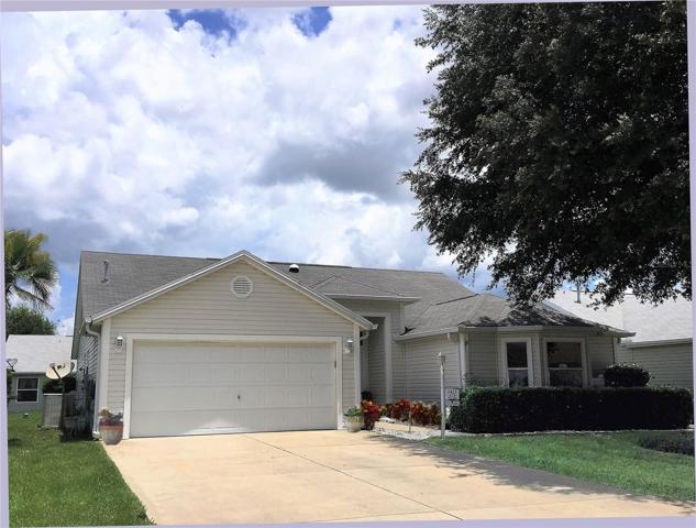front of home - large tree