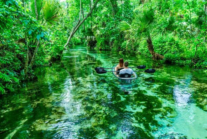 Clear bottomed kayaking showcases the marine diversity the area is famous for...