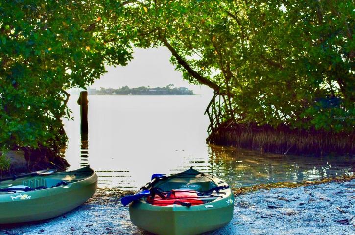 Kayaking straight from the dock at the back...