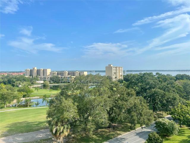 View from the living room