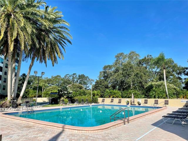 Community pool