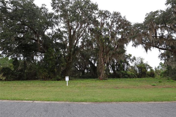 BSR lot 36 front