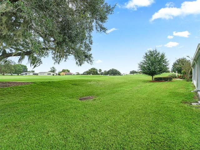 BAck of home view