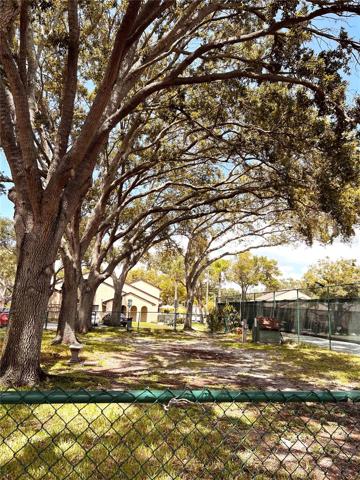 Dog Park
