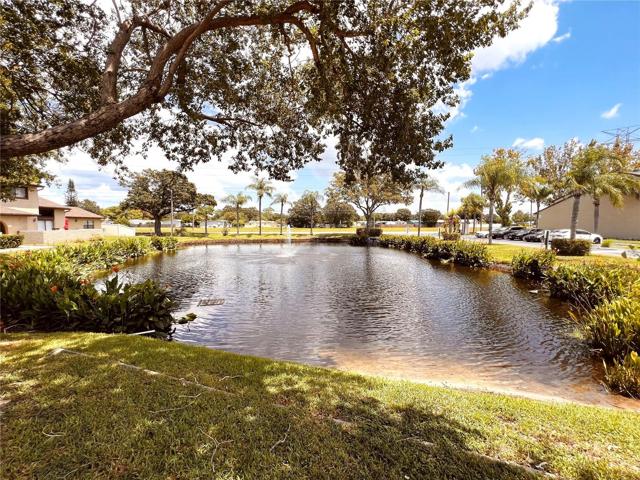 Pond