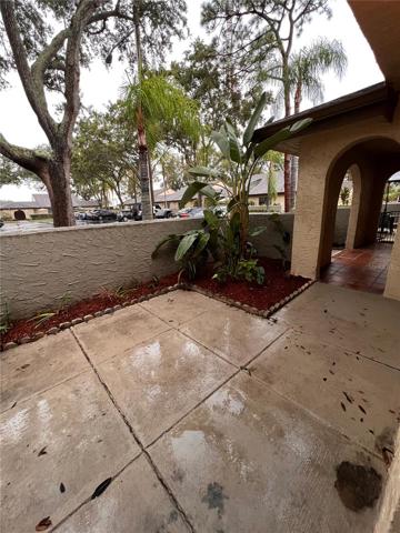 Front Patio