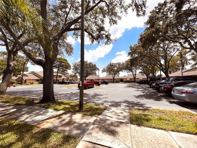 Parking lot view from front door