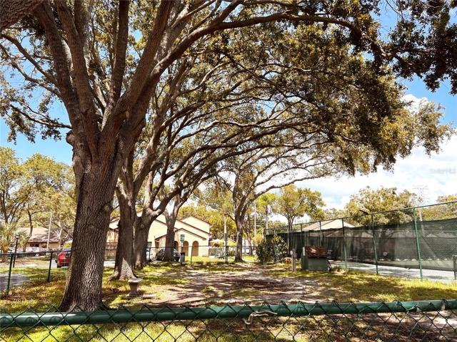 Dog Park