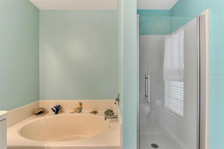 Ensuite Shower & Tub